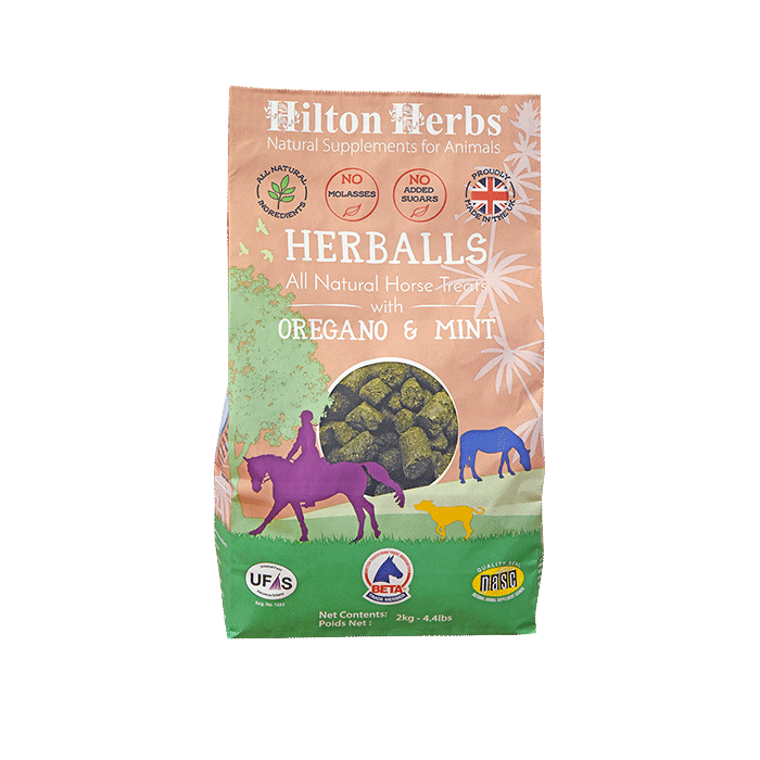 Hilton Herbs Herballs - Oregano & Mint
