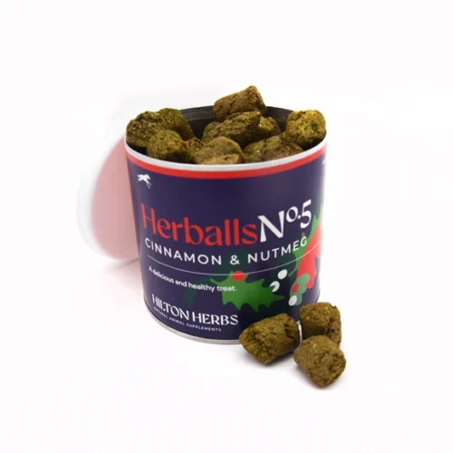 Hilton Herbs Herballs Cinnamon & Nutmeg Horse Treats - 250g Tub
