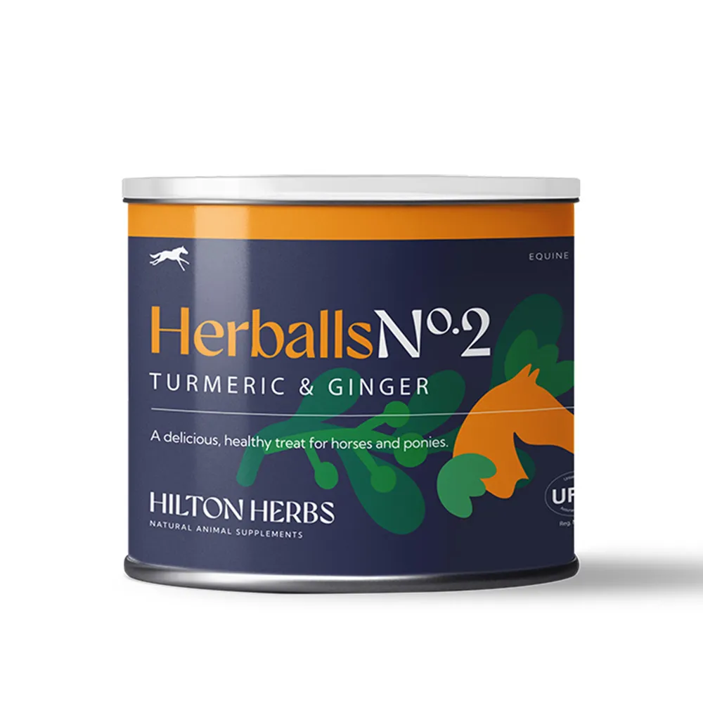 Hilton Herbs Herballs - Turmeric & Ginger 250g Tub